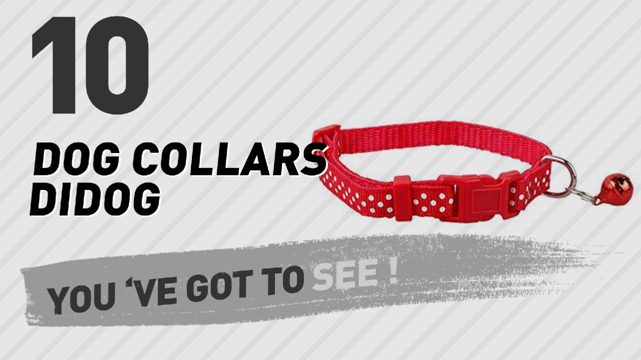 Dog Collars Didog // Top 10 Most Popular