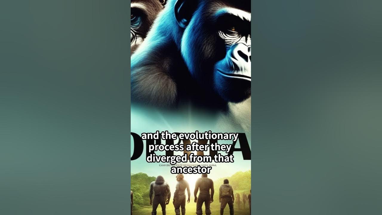 Gorillas and humans have 98.6% the same DNA? Similarities between