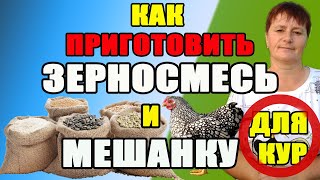 1.Как приготовить зерносмесь и мешанку для кур. 2.Сколько стоит моя зерносмесь.