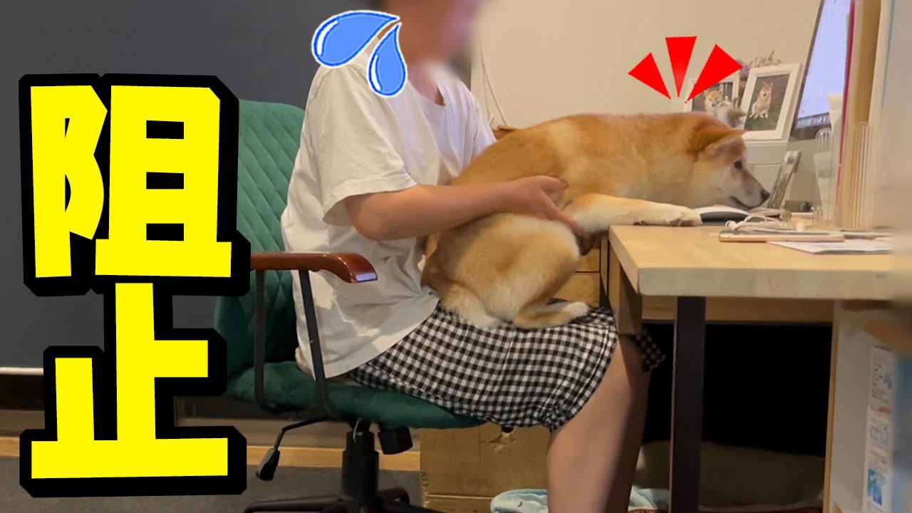 maxresdefault.jpg