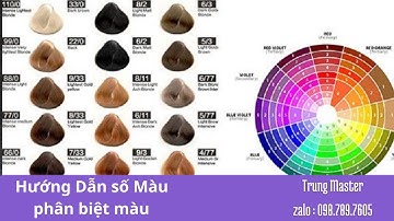 Hướng Dẫn Về Số Màu Và Cấp Độ Màu