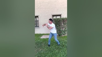 Hsing-i / Xingyi Kung Fu - 5 Elements Linking form