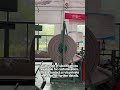 Fully automatic foaming sheet production line, uniform thickness, tight and compact winding