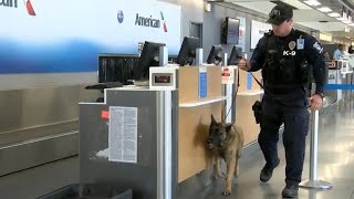 Will extra security at airports mean longer lines for travelers?