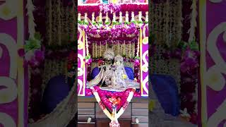 💜Radhapiy ju...💜 phool Bangla #radhakelikunj #bhajanmarg #shortsviral #trending #explore #vrindavan