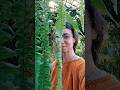 Mon endroit secret préféré à Paris #gardenhouse #secretplace #nature #paris