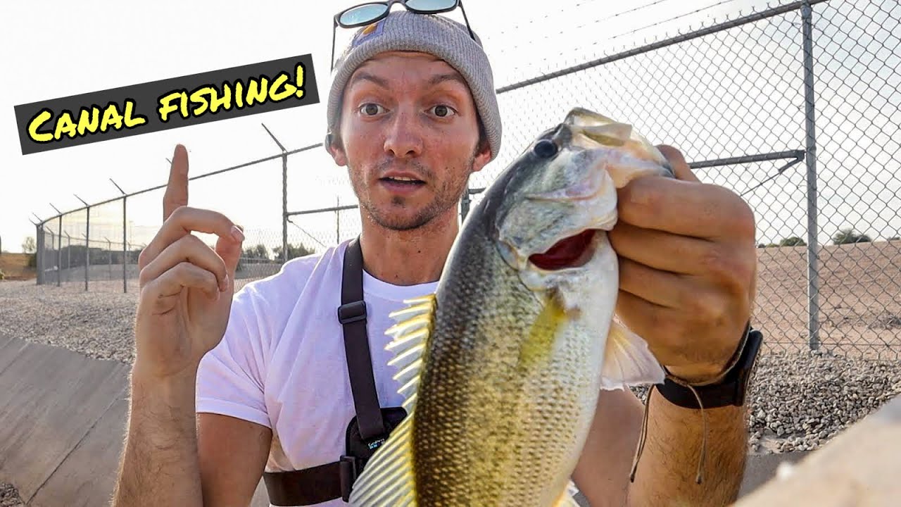 CANAL Fishing for Bass (Phoenix Arizona)