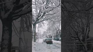 Walking In A Winter Wonderland Snow Everywhere Canada Snow shortsmas vlogmasday6 vlogmas2023