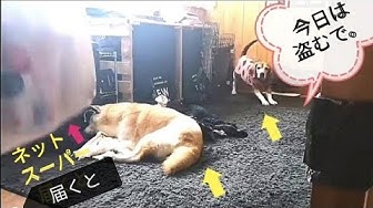 Object Object Youtube