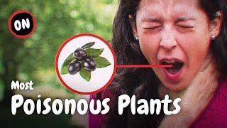 The Top 7 Most Poisonous Plants