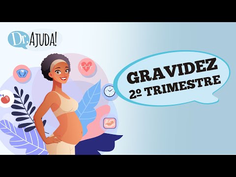 Vídeo: O Segundo Trimestre Da Gravidez