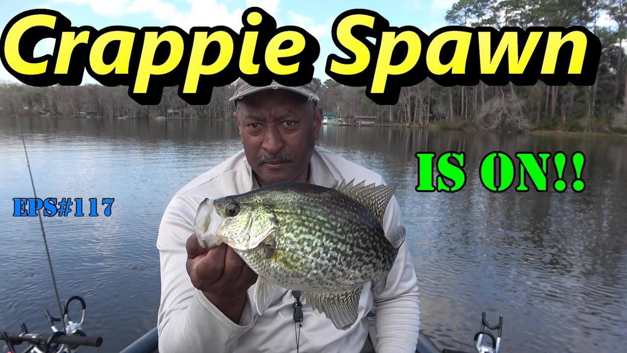 Spawning Crappie - Slip Bobbers &  Livescope using minnows