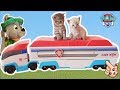 GATITOS BEBÉS JUEGAN en el CAMIÓN de la Patrulla Canina!