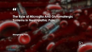 ICBioMed 2023-The Role of Microglia And Glutamatergic Systems in Neuropathic Pain