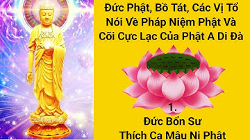 Chưa Phật, Bộ tát, Các Vị Tổ Nói Về Pháp Niệm Phật Và Cõi Cực Lạc Của Phật A Di Đà