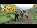 Conozca el paraiso en Lima:  las lomas de Lucumo