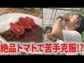 【トマト嫌い必見】絶品トマトカレーなら食べられるようになるのか!?/芝尾農園
