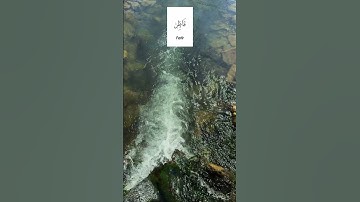 Surah Fatir Full || سورة فاطر ||#surahfatir #islamicstatus #surah