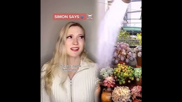 #pov For population control the game of Simon Says is d€@dly   #foryou #acting #story #story #scary