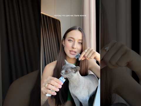 Почему мы не взяли кошечку из приюта