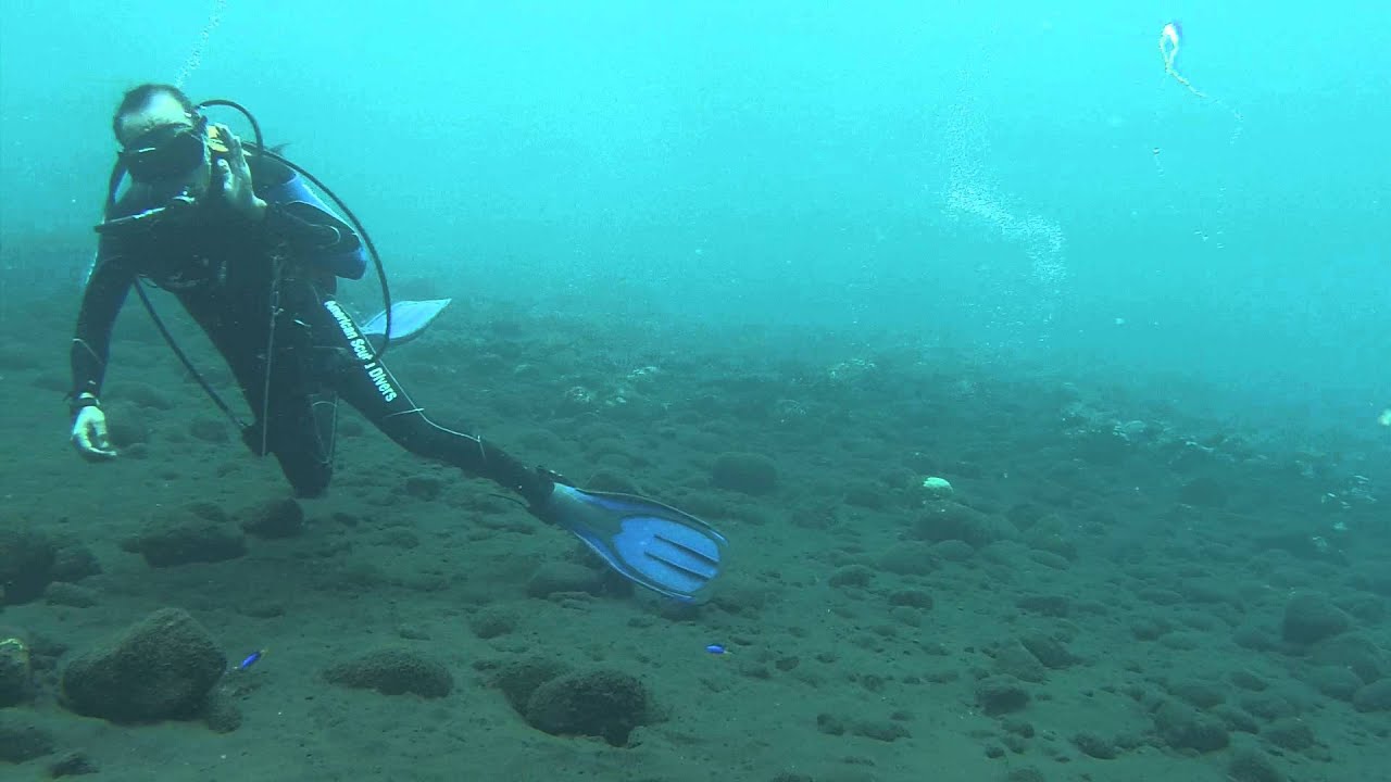Bubble rings Scuba diving in Bali YouTube