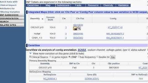 dbSNP ALLELE FREQUENCY