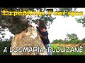 Ref:dMYMJcA15u0 Exp�dition f��rique � locmaria-plouzan�
