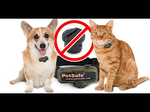 petsafe-collar-battery-replacement-hack-(simple-method)