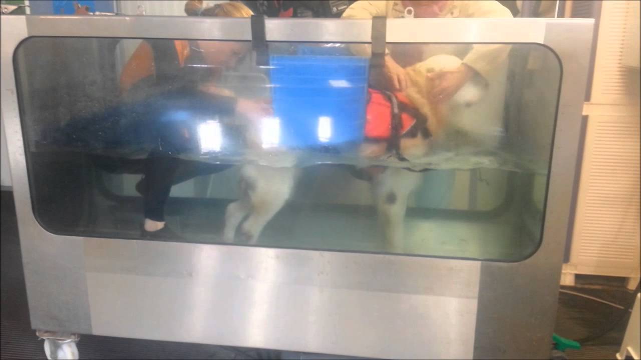 Rehabilitacion de PITI en NARUB hidroterapia