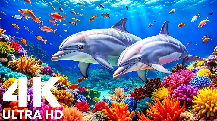Marvel at Sea Animal in The Best 4K ULTRA HD Aquarium-Dive Into The Mesmerizing Underwater Realm
