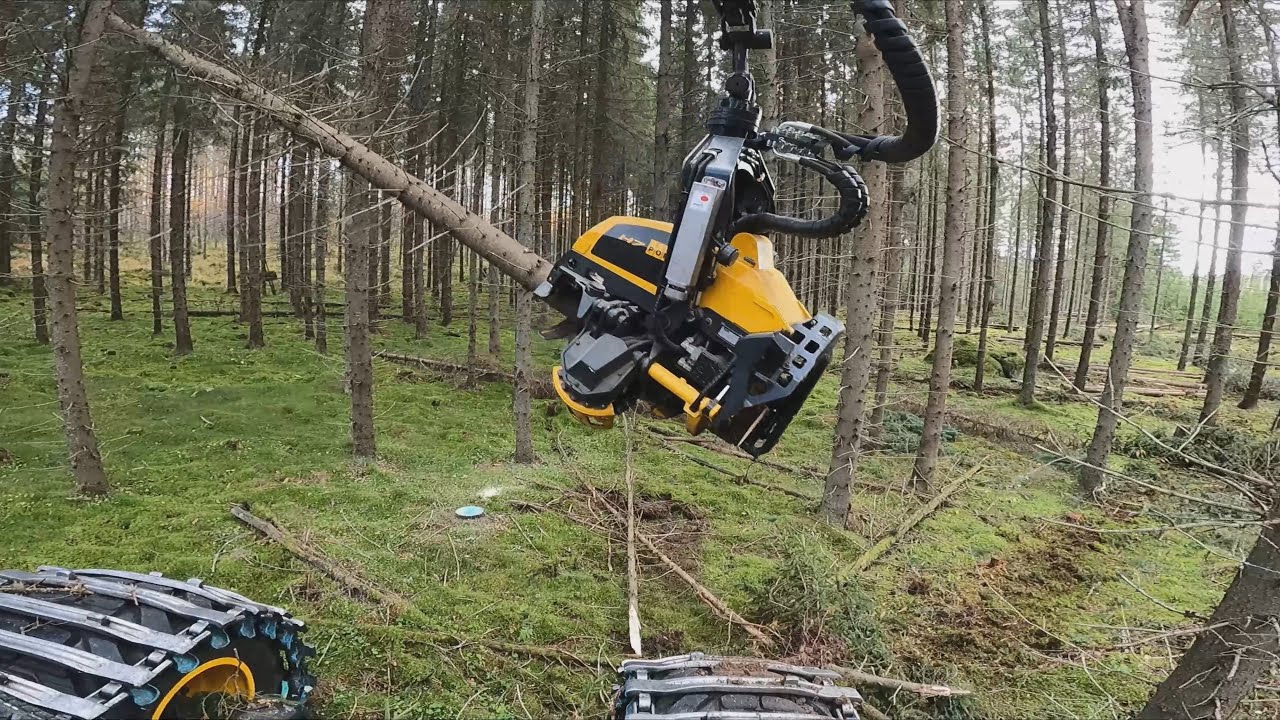 Satumetsä kuusikon harvennusta ja juttua miten kone on toiminut VR1. Ponsse Scorpion K H7 AC FC