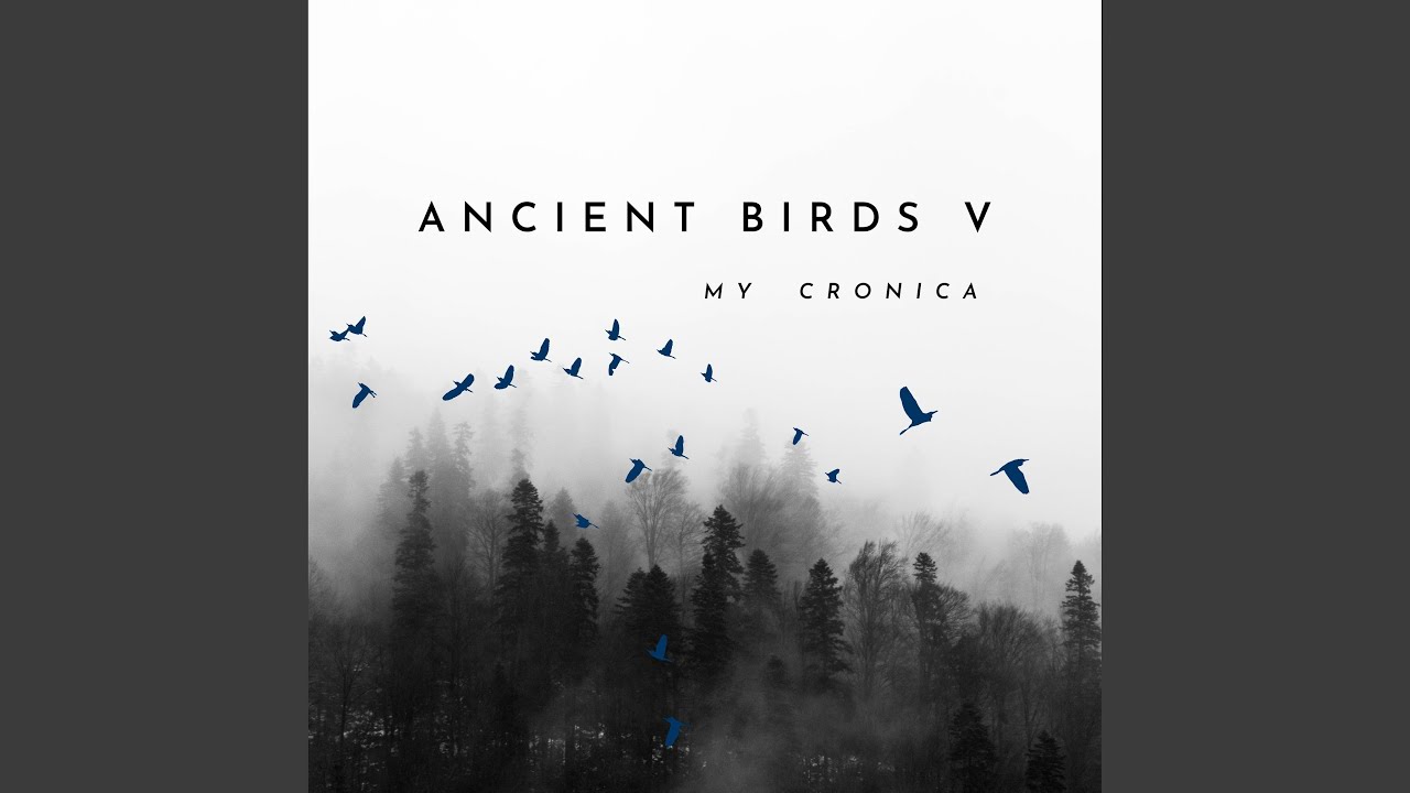 Guarda Ancient Birds V su YouTube