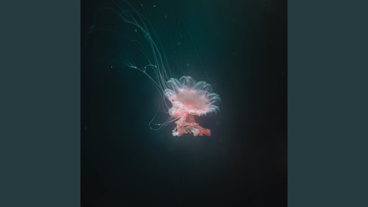Celestial Echoes adlı videoyu YouTube'da izle Celestial Echoes adlı videoyu YouTube'da izle
