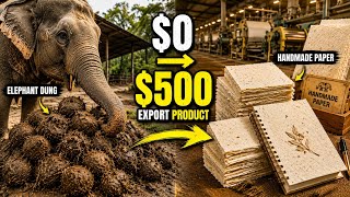 How Elephant Dung Becomes $500 Handmade Paper | Hidden Process 