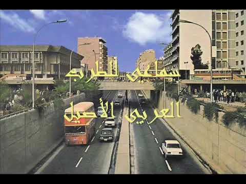سعدي البياتي موال موثر كيف السبيل وقد شطت بنا الدار
