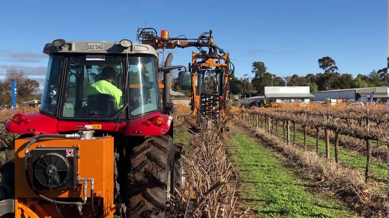 pellenc pruner