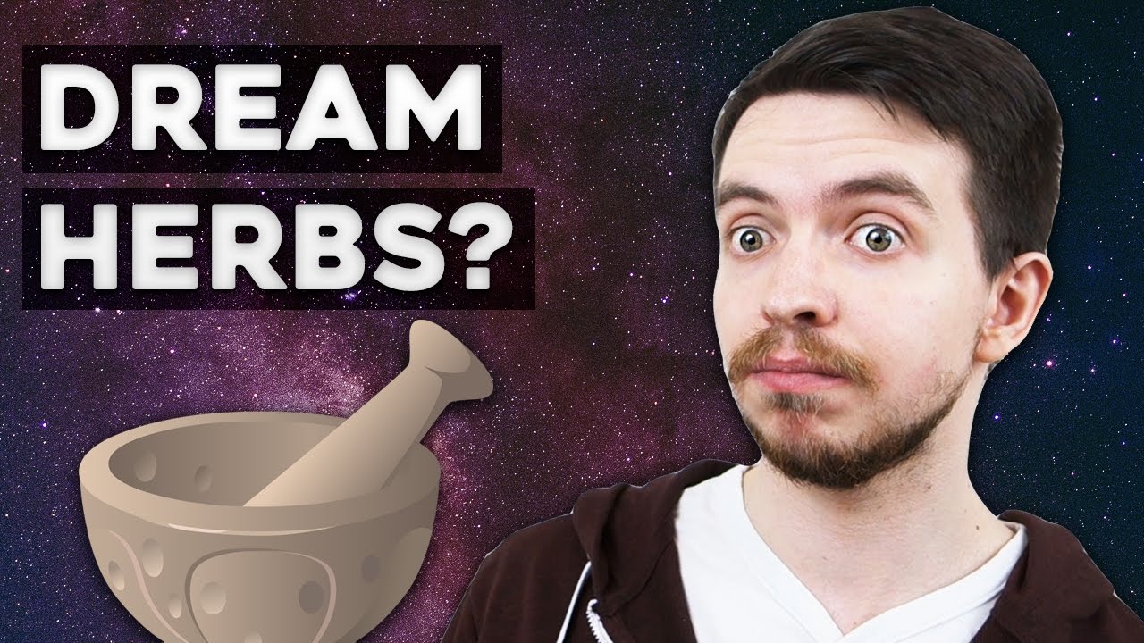 Dream Herbs: My Experience with Silene Capensis and Synaptolepis Kirkii Extract