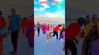 Dog is😰best🐶 and amazing dog#viraljump​​​​​​​​​​​​#dogshorts​​​​​​​​​​​​ #dogclother#animal#youtube🙏