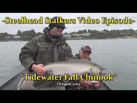 video phone beyonce mp3 -Oregon Tidewater Fall Chinook 2013- Salmon Fishing Video Episode