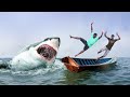 Shark attack man in sea fishing boat  fun made  shark attack egypt  movie part 3