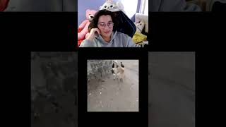 çıkartın bu gözlerimi bir dahja göremeyeyim #shorts #keşfet #fyp