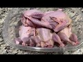 * Warning | How to Harvest and Process Quail with the SKIN ON | Sbeck Traditions