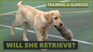 Puppy Training at the Park: Ruby's Adventure with John Peek Episode 3