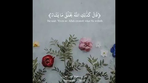 قالت ربي أنى يكون لي ولد ولم يمسسني بشر//بصوت عبد الرحمن العوسي// حالات واتس اب دينية// قران كريم