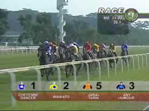 PANASONIC KRANJI MILE 20/09/09 - WAIKATO