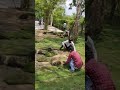 How to grow grass at ur home ? Only in 1 day ( 8800770676)