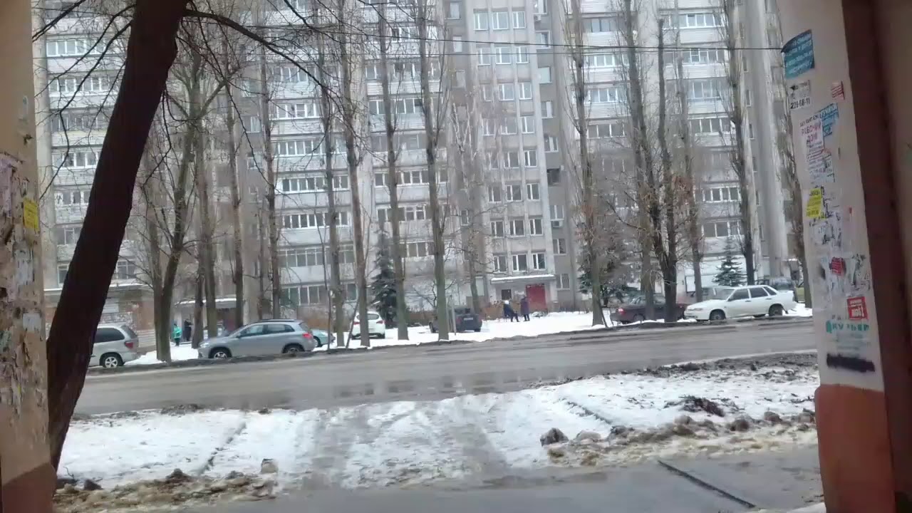 ПОПЫТКА на ВИП | Alexey Golev, РОЖДЕСТВО