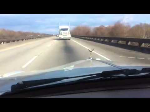 ROLLS-ROYCE SUICIDE CAR ACCIDENT CRASH DASH CAM - CRAZY INSANE VIDEO!