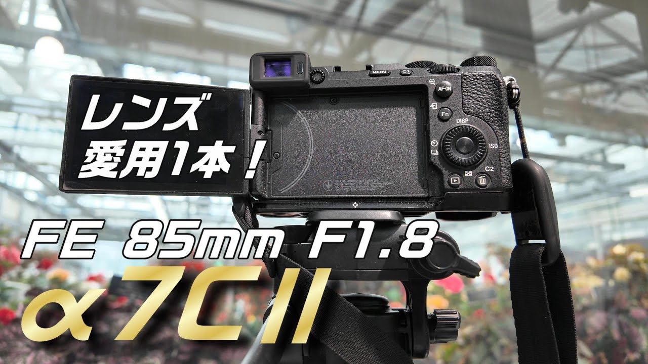 SONY α7C IIと愛用のレンズで撮る神代植物公園の花たち | FE 85mm F1.8