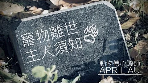 (必須收藏)寵物離世/動物離世是怎樣？主人要做什麼？April Au (動物傳心/動物溝通導師)與你分享。聯絡 : AprilAu@qq.com - 天天要聞